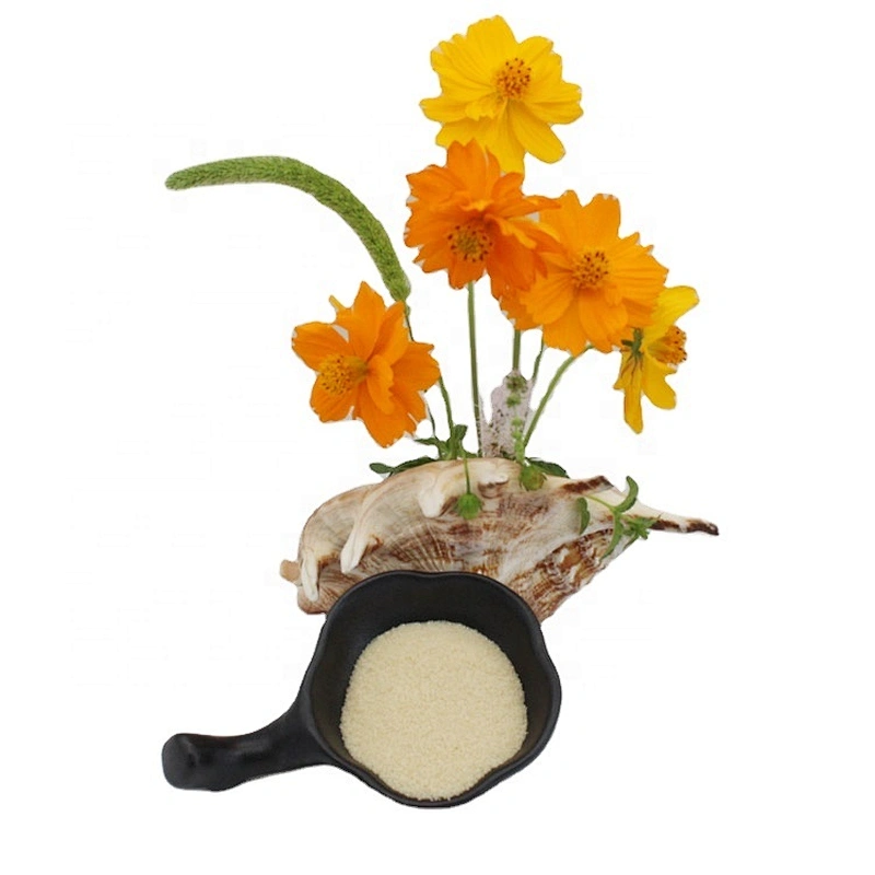 2024 good quality manufacturer Edible granules Hydrolyzed food grade gelatin